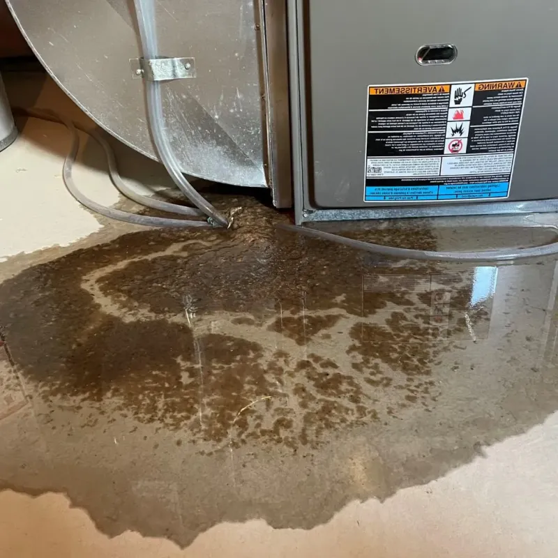 Pipe Burst and Leak Restoration in Spokane, WA